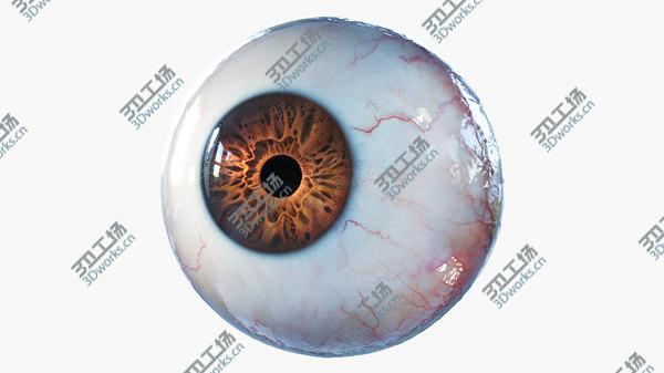 images/goods_img/20210312/3D Eye Rigged model/1.jpg